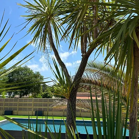 Kemp Soleil Luna Herm